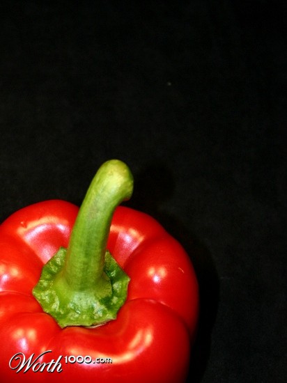 Photography by KarenC