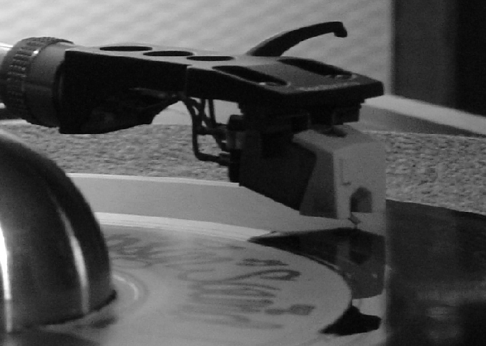 Photography by anviss for DesignCrowd (Community Contests) | Design #9087667