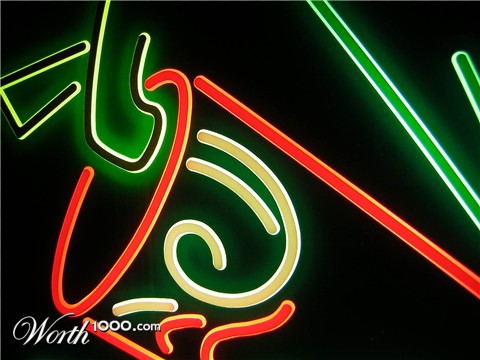 Photography by stewacrowd