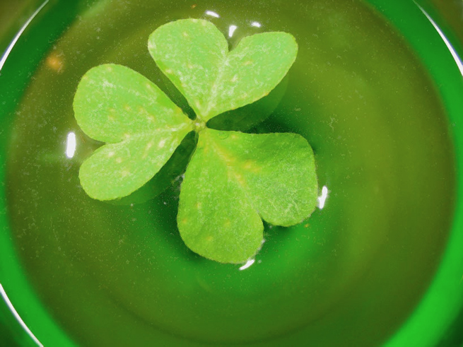 Photographie par madylyn pour DesignCrowd (Community Contests) | Design #9084109