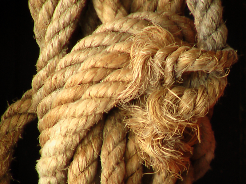 Photographie par Resalg pour DesignCrowd (Community Contests) | Design #9087618