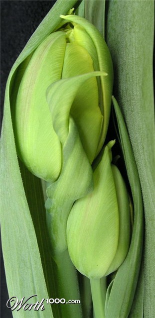 Photography by mzmzmzmz