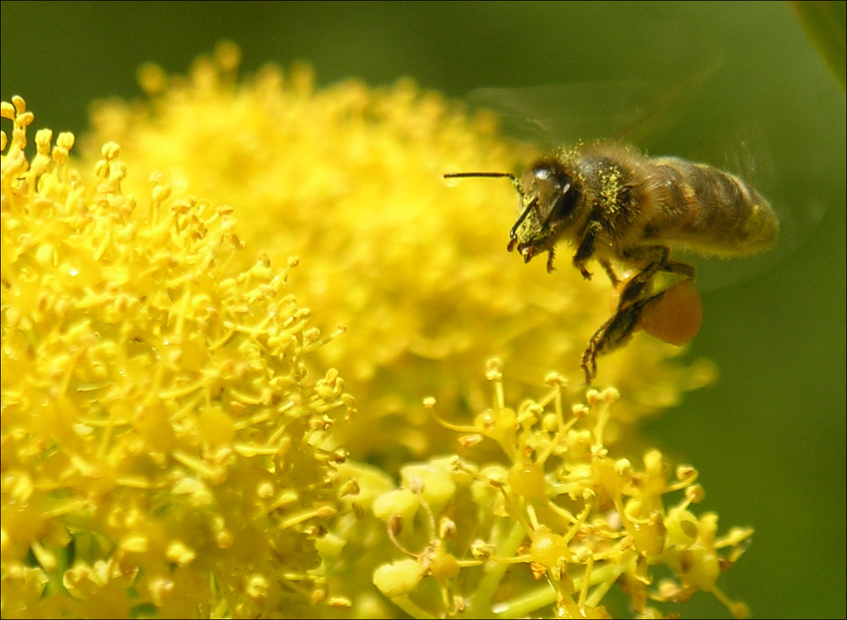 Photography by artissa for DesignCrowd (Community Contests) | Design #9087734