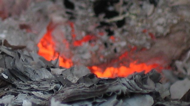 Photography by smekla for DesignCrowd (Community Contests) | Design #9087697