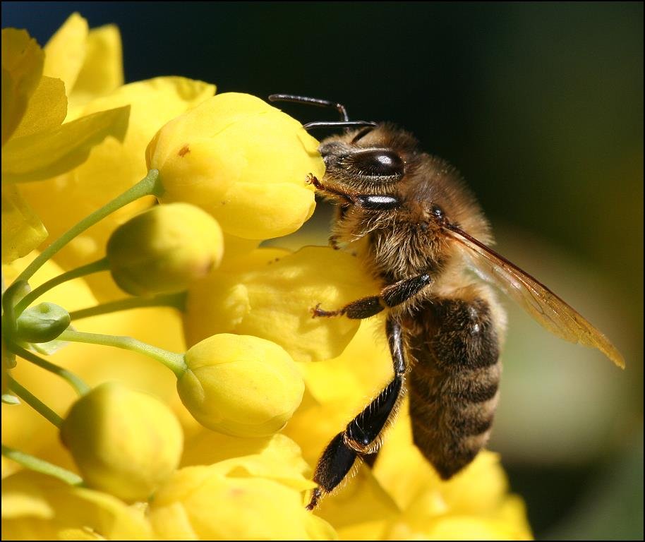 Fotografía por TyChO para DesignCrowd (Community Contests) | Diseño #9087671