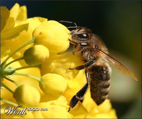 Photography by TyChO