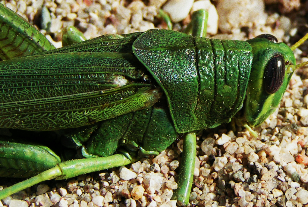 Photographie par jasoned pour DesignCrowd (Community Contests) | Design #9087716