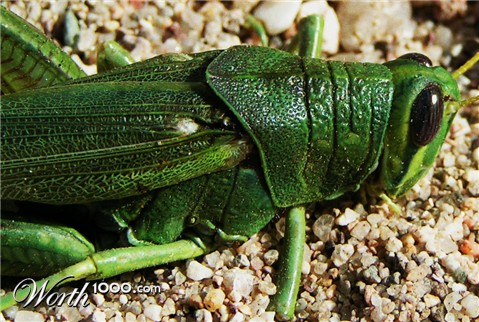 Photography by jasoned