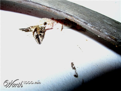 Photography by reagp1