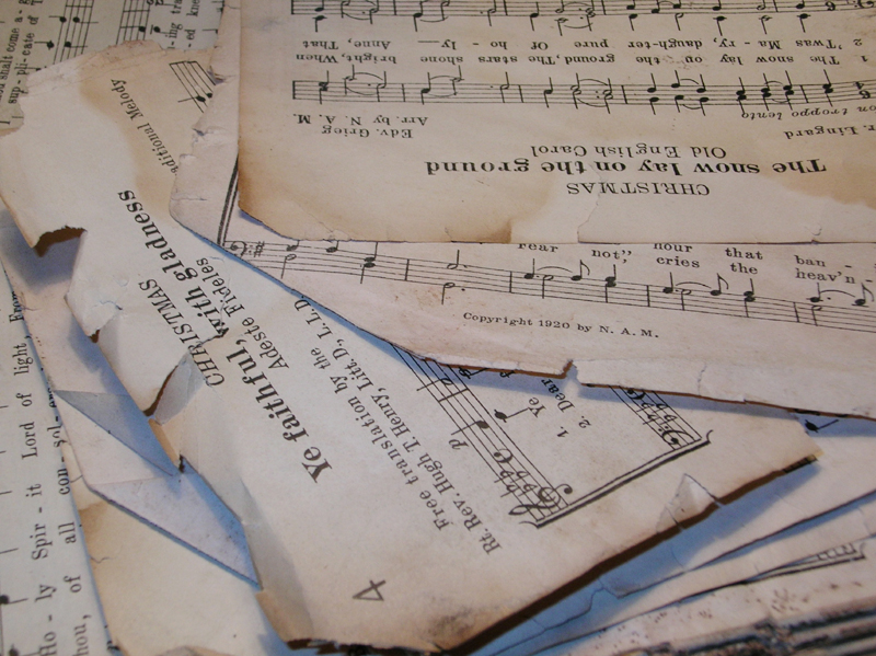 Photography by nova22 for DesignCrowd (Community Contests) | Design #9087727