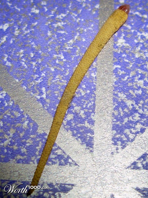 Photography by vipez