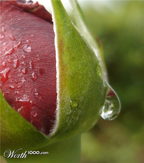Photography by p1x3lat3d