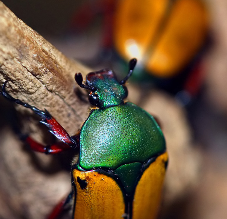 Fotografía por jiwasz para DesignCrowd (Community Contests) | Diseño #9087801