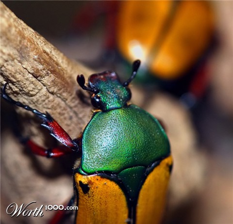 Photography by jiwasz