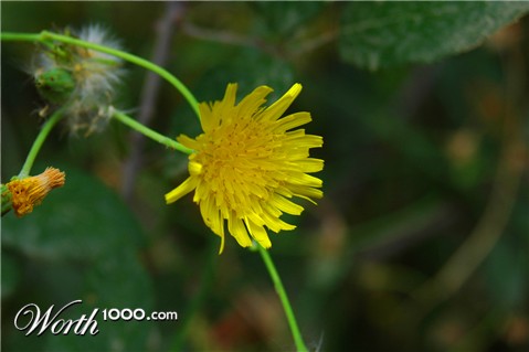 Photography by stoitchtkov