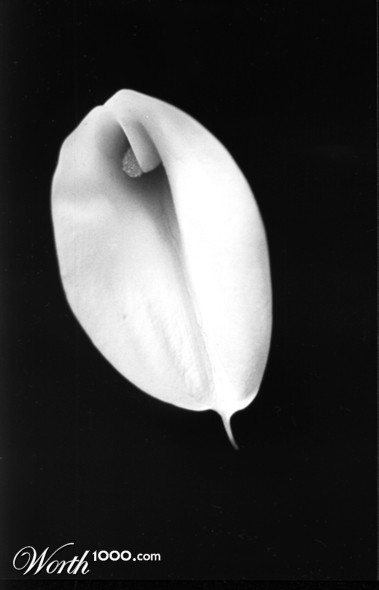 Photography by funcky