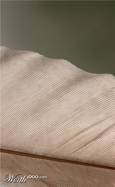 Photography by Xported