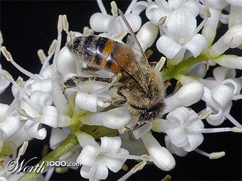 Photography by Fishcat