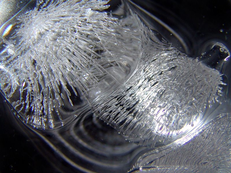 Photography by robojack for DesignCrowd (Community Contests) | Design #9087893