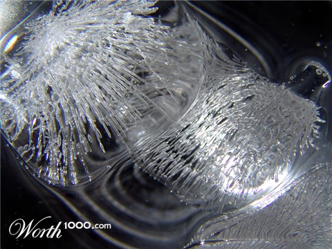 Photography by robojack