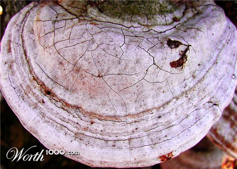 Photography by theduffman