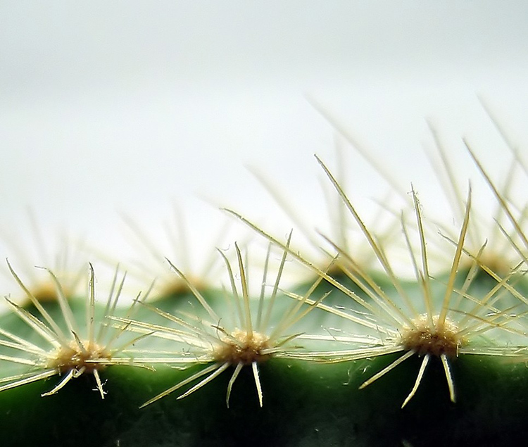 Photography by wiebeiw for DesignCrowd (Community Contests) | Design #9087798