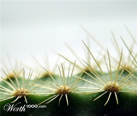 Photography by wiebeiw