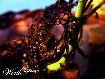 Photography by PaulC44446