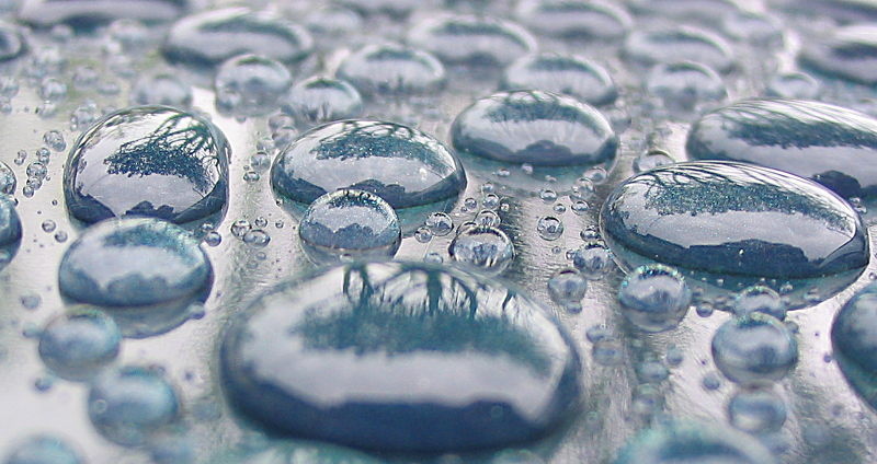 Photographie par madylyn pour DesignCrowd (Community Contests) | Design #9087793