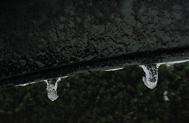 Fotografie von tweetybirdfan222 für DesignCrowd (Community Contests) | Design #9089500