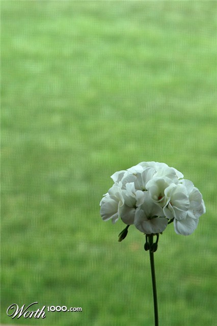 Photography by pdslug