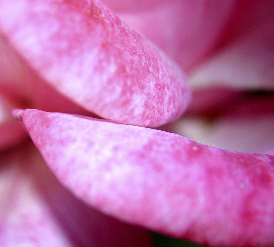 Fotografía por advance2 para DesignCrowd (Community Contests) | Diseño #9087865