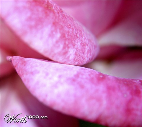 Photography by advance2