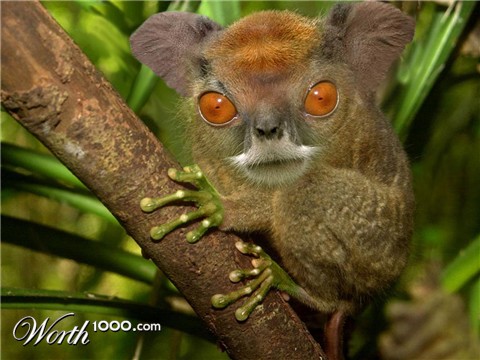 Photoshop Design by ozplasmic