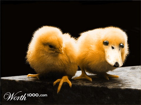 Photoshop Design by SkiDesignS