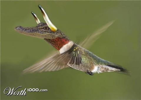 Photoshop Design by Beetleb