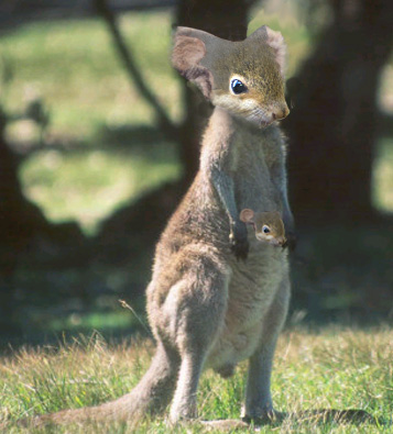 Photoshop Design by JoeyGio for DesignCrowd (Community Contests) | Design #9081428