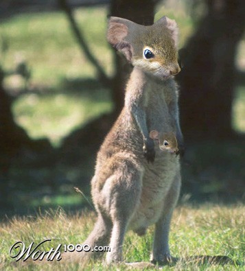 Photoshop Design by JoeyGio