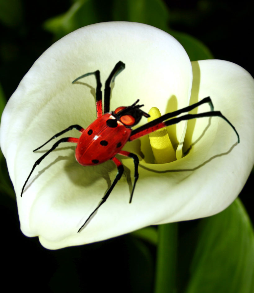 Photoshop-Design von badbeef für DesignCrowd (Community Contests) | Design #9081416