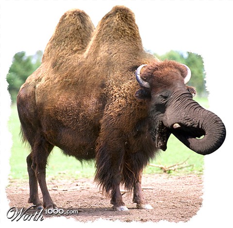 Photoshop Design by cleareyes