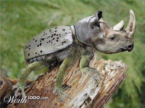 Photoshop Design by semonetienne