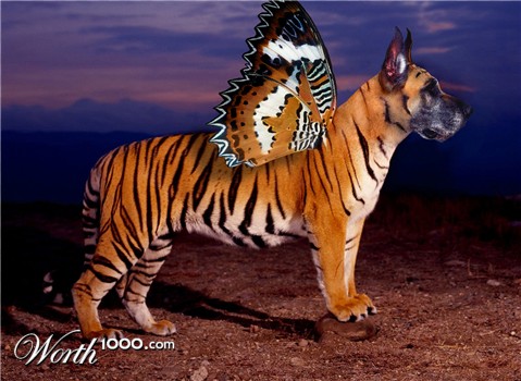 Photoshop Design by uizer5