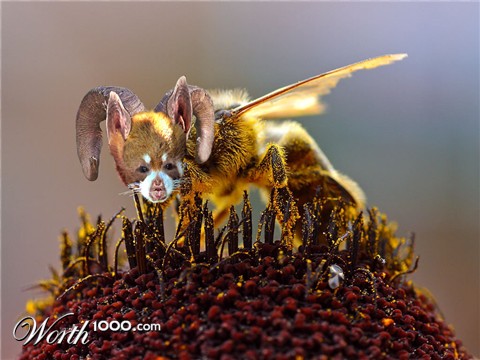 Photoshop Design by modigliani