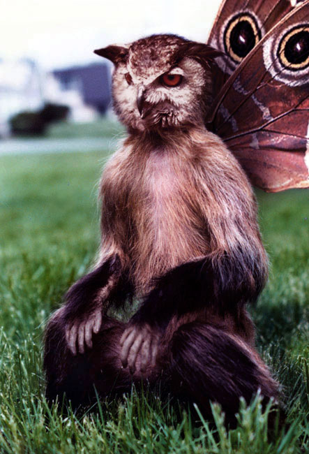 Photoshop Design by Pitinhas for DesignCrowd (Community Contests) | Design #9081444