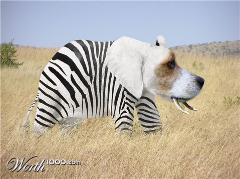 Photoshop Design by jculbertson
