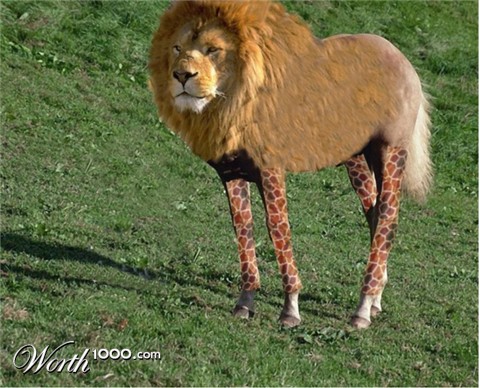 Photoshop Design by kttykatt