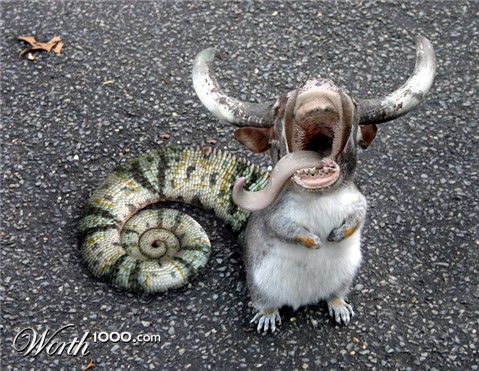 Photoshop Design by mayfae