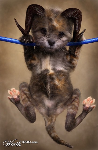 Photoshop Design by toadclipper