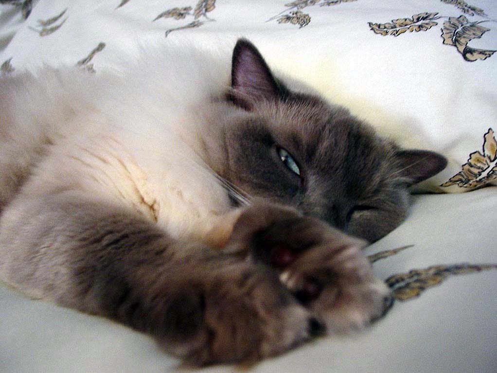 Photography by FRWalters for DesignCrowd (Community Contests) | Design #9085572