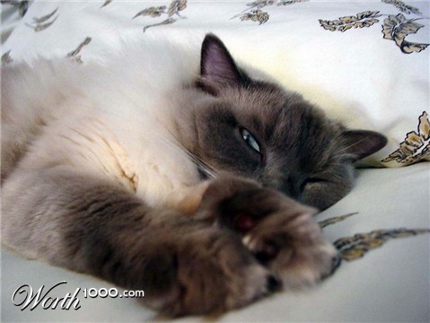 Photography by FRWalters